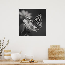 Póster Mariposa en Blanco y Negro