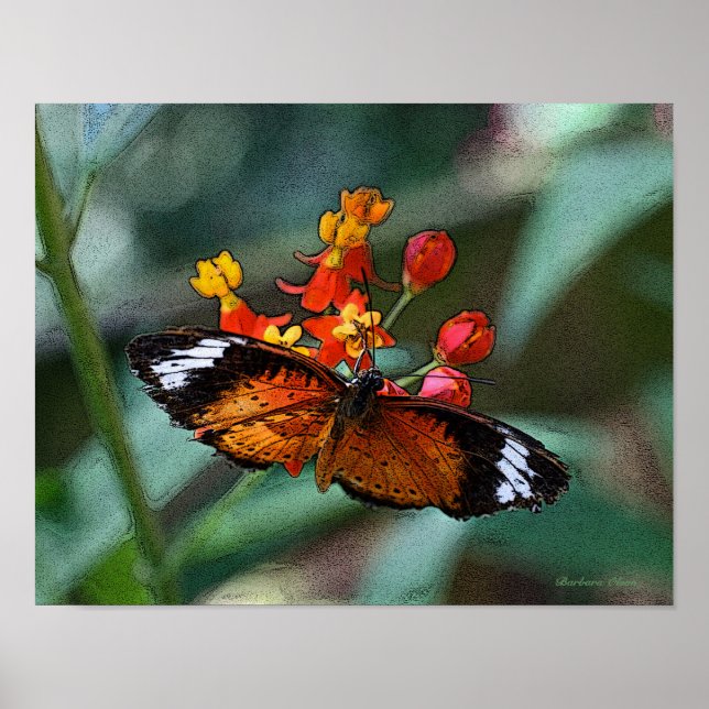 Póster Mariposa en flor (Frente)