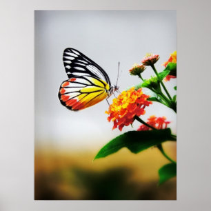 Póster Mariposa en flor