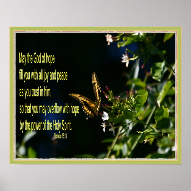 Póster Mariposa en flor Romanos 15:13 (Frente)