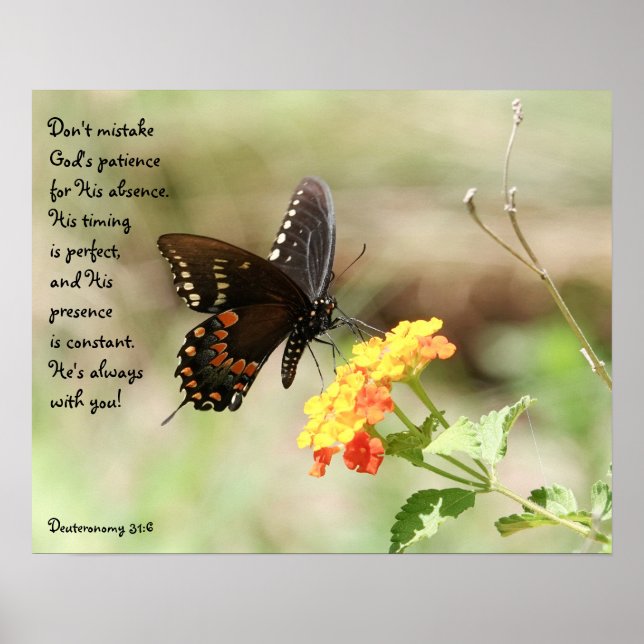 Póster Mariposa en Floral w Verse de Deuteronomy 31:6 (Frente)