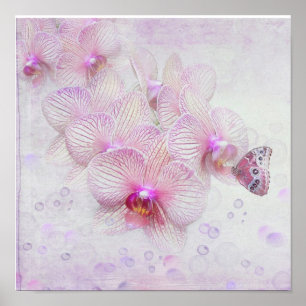 Póster Mariposa en flores de orquídea