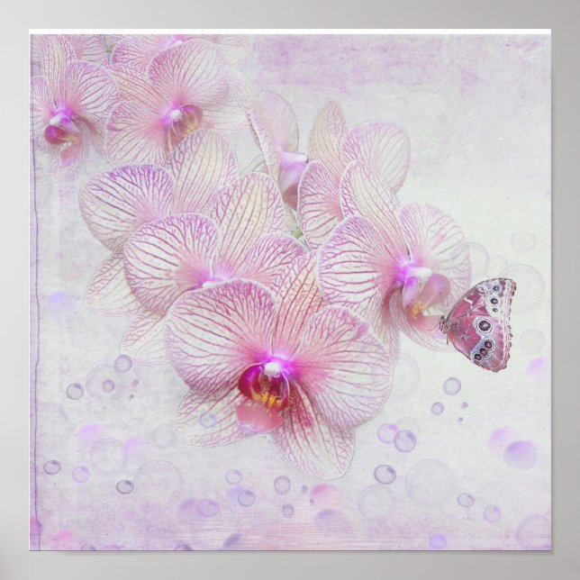Póster Mariposa en flores de orquídea (Frente)