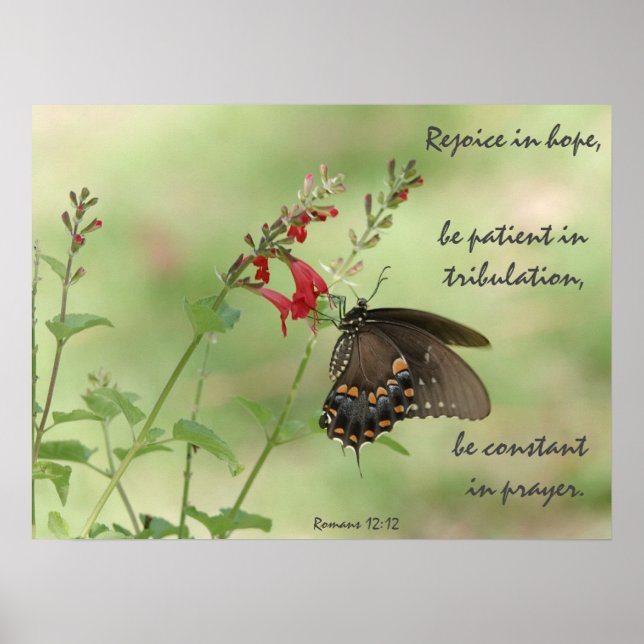 Póster Mariposa en flores silvestres, Verse Romans 12:12 (Frente)