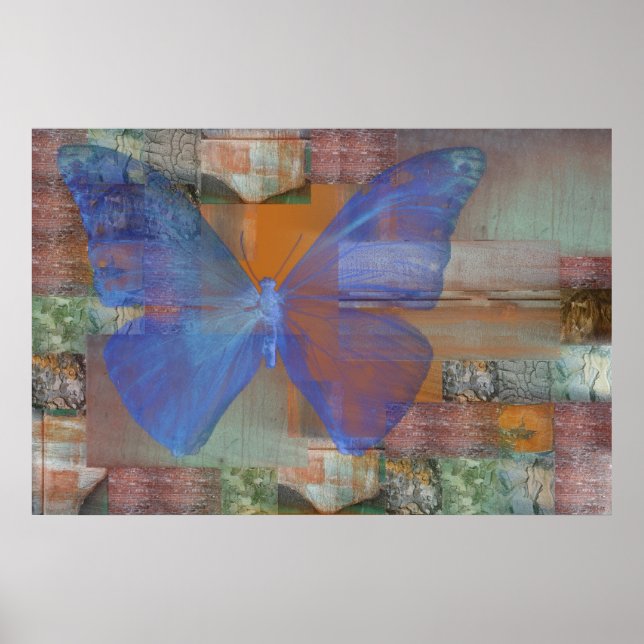 Póster Mariposa en la pared (Frente)