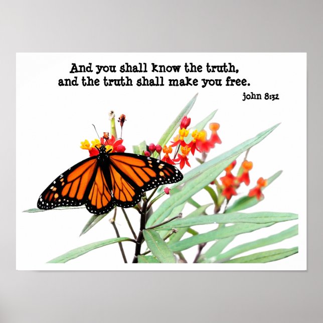 Póster Mariposa en Milkweed, con verso (John 8:32) (Frente)