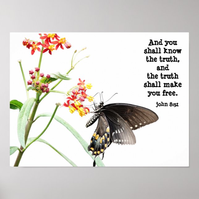 Póster Mariposa en Milkweed, con verso (John 8:32) (Frente)