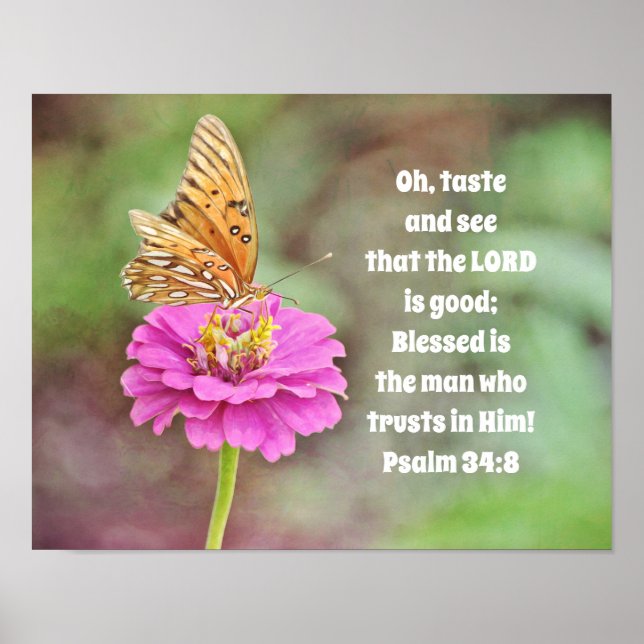 Póster Mariposa en Poster de Flores Biblias (Frente)