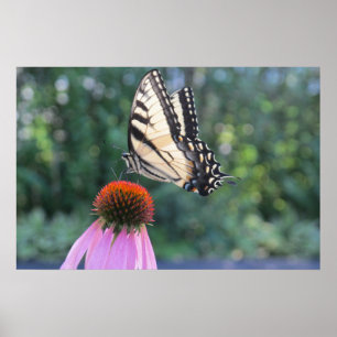 Póster Mariposa en un conefluente morado