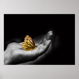 Póster mariposa en una mano