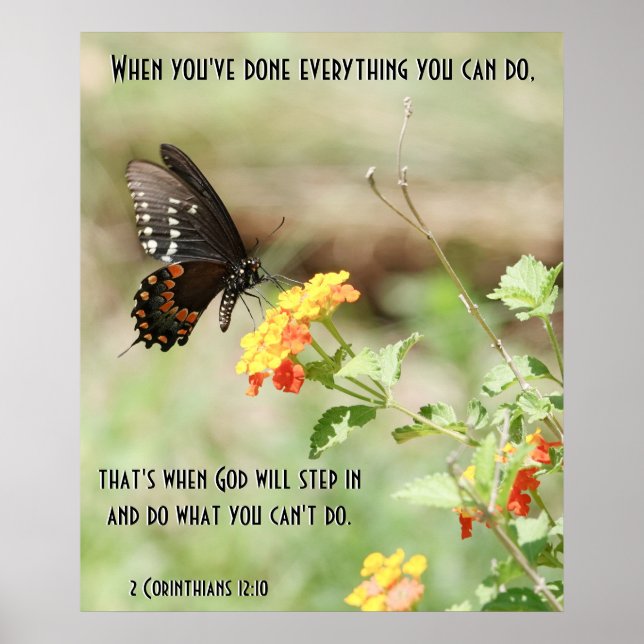 Póster Mariposa en Wildflowers, w Corinthians Verse (Frente)
