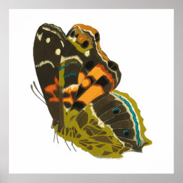 Póster Mariposa exótica vintage 5