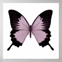 Mariposa grande rosa y negra - Personaliza