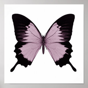 Póster Mariposa grande rosa y negra - Personaliza