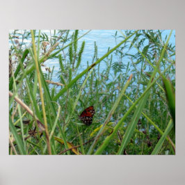 Póster Mariposa junto al río