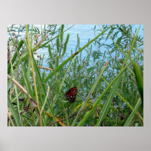 Póster Mariposa junto al río (Frente)