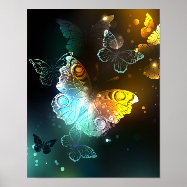 Póster Mariposa luminosa y mariposas nocturnas (Frente)