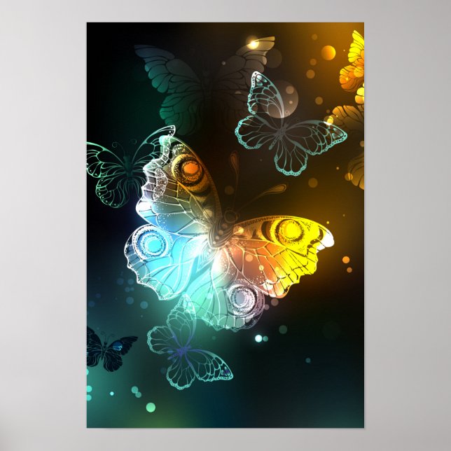 Póster Mariposa luminosa y mariposas nocturnas (Frente)