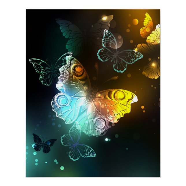 Póster Mariposa luminosa y mariposas nocturnas (Anverso)