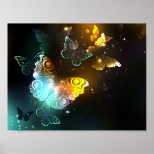 Póster Mariposa luminosa y mariposas nocturnas