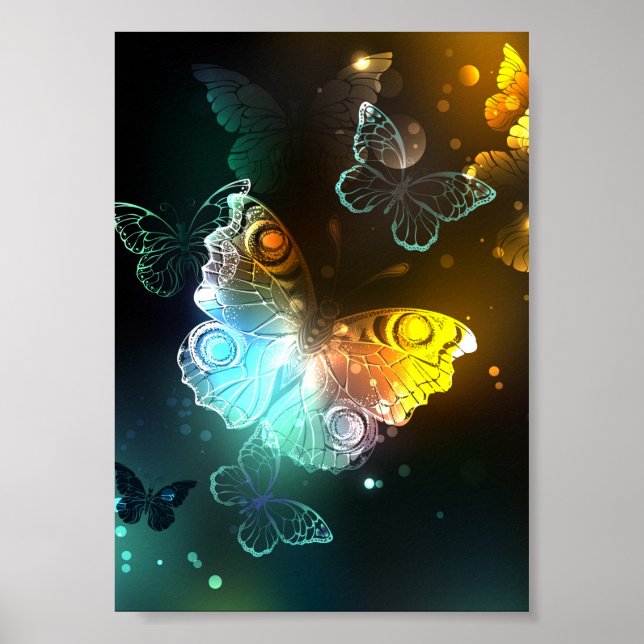 Póster Mariposa luminosa y mariposas nocturnas (Frente)
