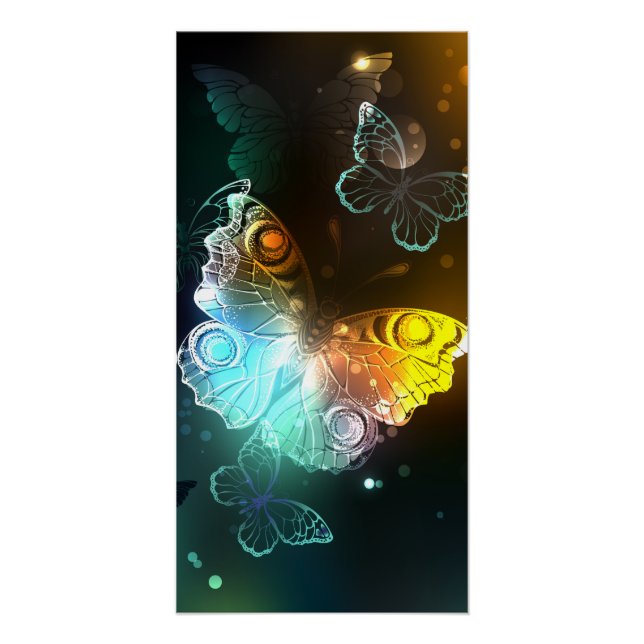 Póster Mariposa luminosa y mariposas nocturnas (Anverso)
