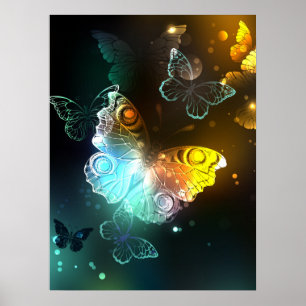 Póster Mariposa luminosa y mariposas nocturnas