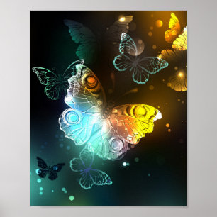 Póster Mariposa luminosa y mariposas nocturnas