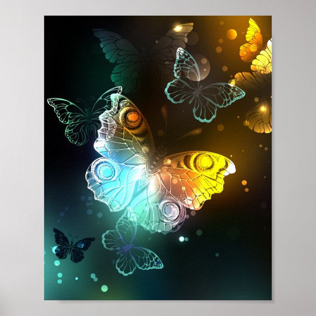 Póster Mariposa luminosa y mariposas nocturnas (Frente)