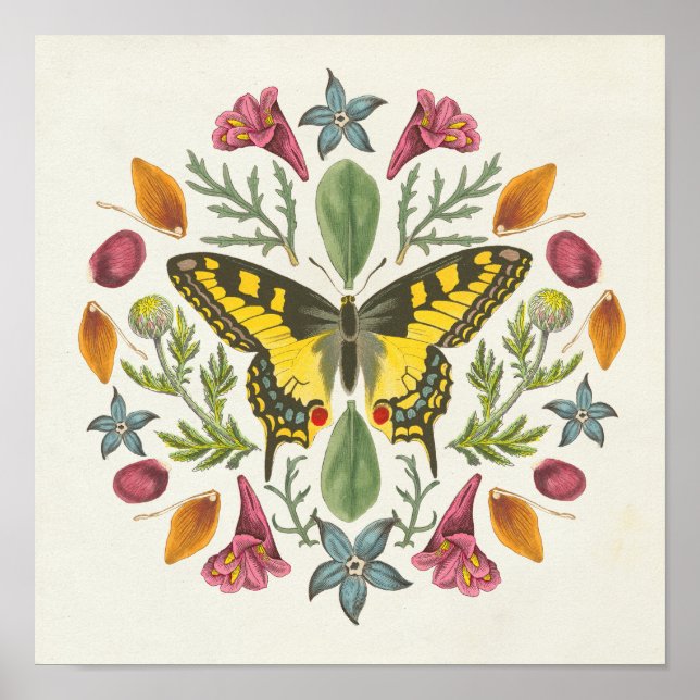 Póster Mariposa Mandala (Frente)