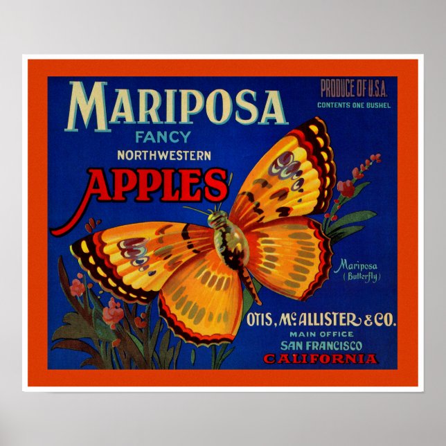 Póster Mariposa manzanas (Frente)