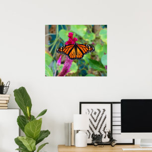 Póster Mariposa monarca