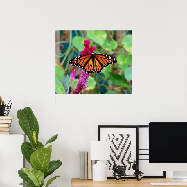 Póster Mariposa monarca (Oficina en casa)