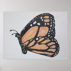 Póster Mariposa monarca