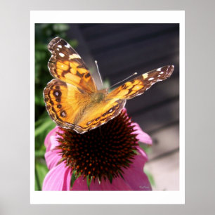 Póster Mariposa monarca 2