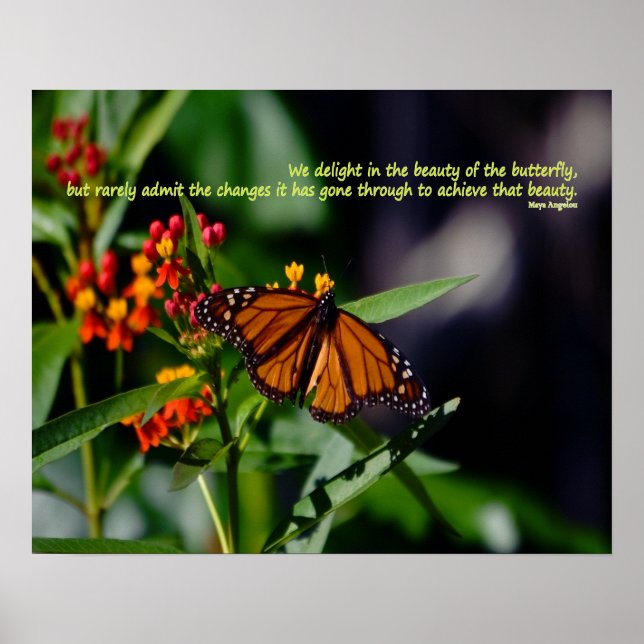 Póster Mariposa monarca con cita de Maya Angelou (Frente)