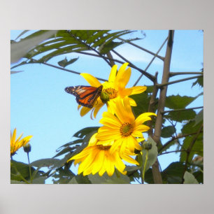 Póster Mariposa Monarca En El Poster De Los Girasoles