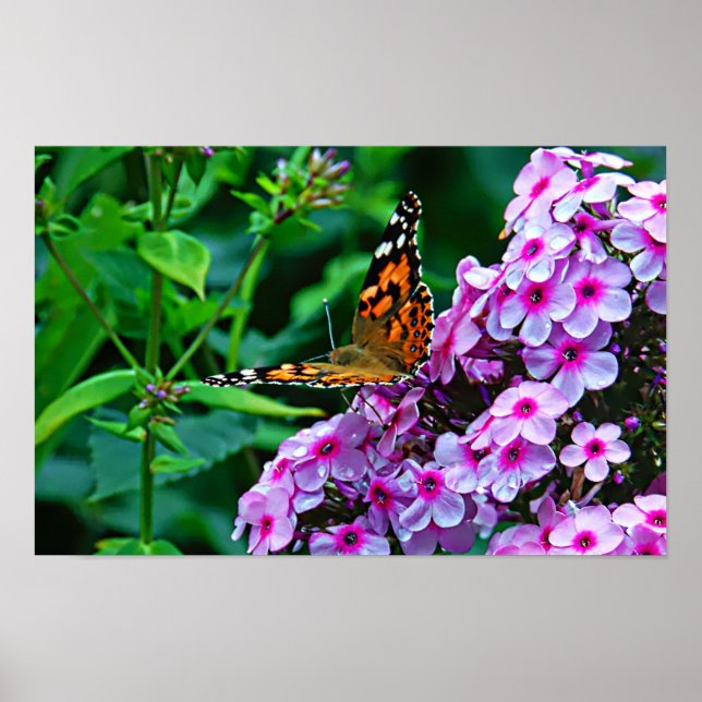 Póster Mariposa Monarca en Flores (Frente)