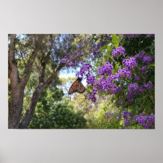 Póster Mariposa Monarca en Flores Purpúreas (Frente)