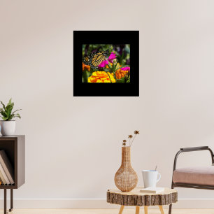 Póster Mariposa monarca en la flor rosada de Marigold