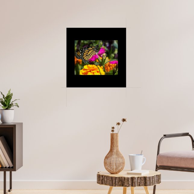 Póster Mariposa monarca en la flor rosada de Marigold (Salón 3)