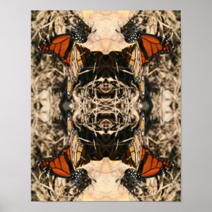 Póster Mariposa monarca posando sobre la naturaleza Resum