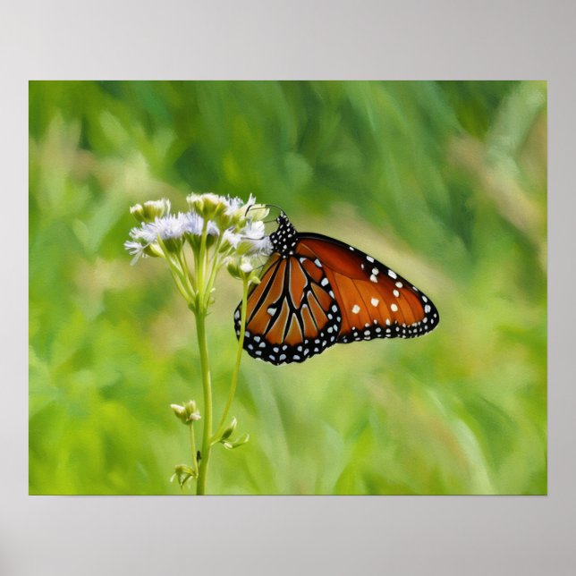 Póster Mariposa monarca sobre flores silvestres acuarela  (Frente)