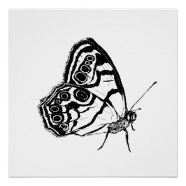 Póster Mariposa monocroma