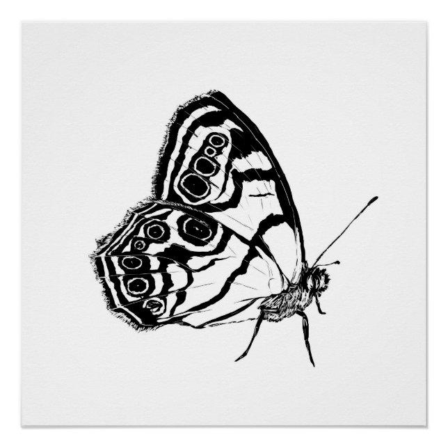 Póster Mariposa monocroma (Anverso)