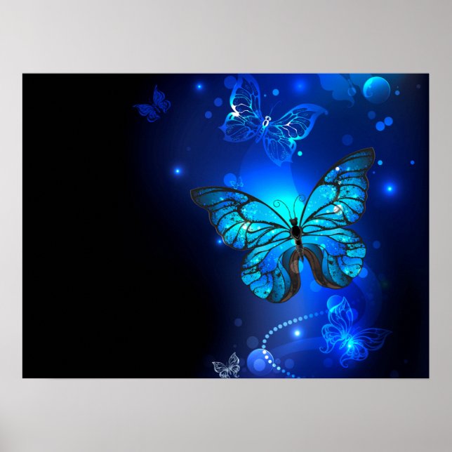 Póster Mariposa morfo en el fondo oscuro (Frente)