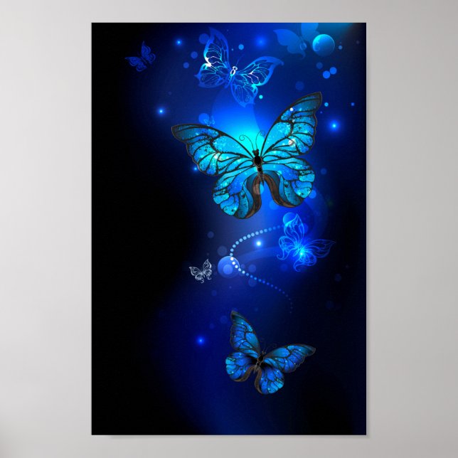 Póster Mariposa morfo en el fondo oscuro (Frente)