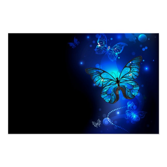 Póster Mariposa morfo en el fondo oscuro (Anverso)