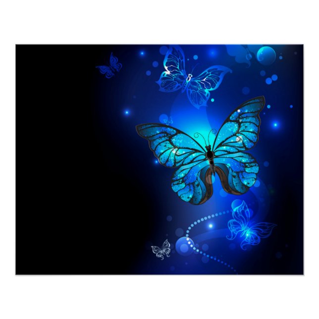 Póster Mariposa morfo en el fondo oscuro (Anverso)