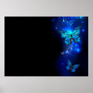 Póster Mariposa morfo en el fondo oscuro